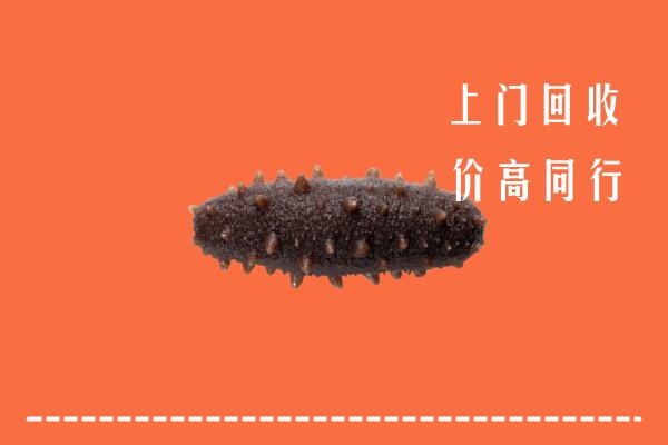 博湖县回收海参
